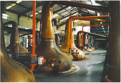 Whisky stills at Glenfiddich Distillery in Moray.