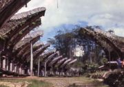 A Toraja village