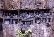 A stone-carved burial site. Tau tau (effigies of the deceased) were put in the cave, looking out over the land.