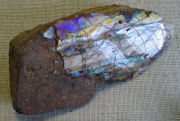 Polished Opal