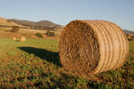 A round bale