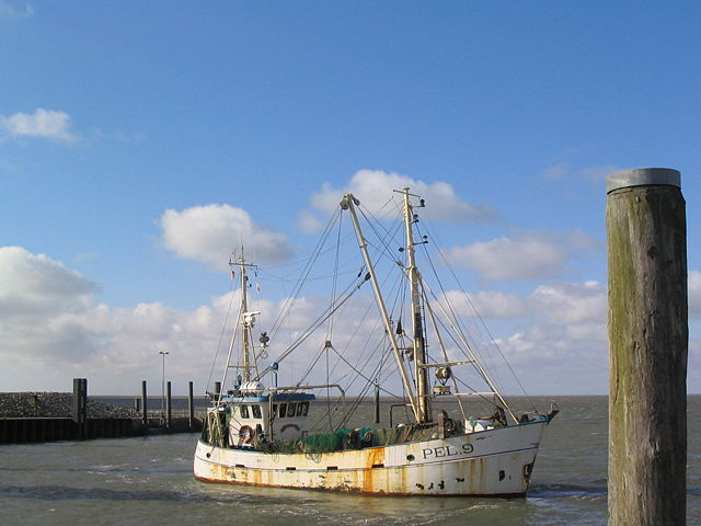 Image:Fischkutterquerinhafen.jpg