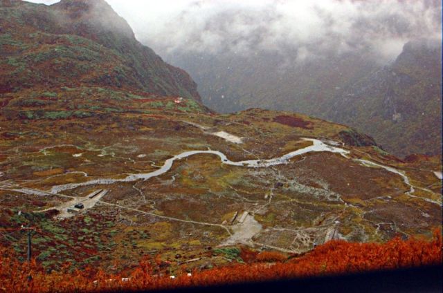 Image:Nathu La Fauna 2.jpg