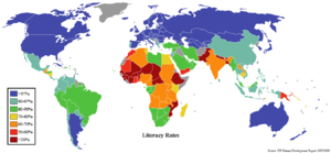 World literacy rates by country