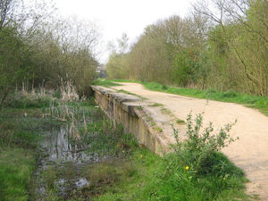 The remains of Rugby Central Station on the former Great Central Railway, one of many stations and lines that were closed under the Beeching Axe