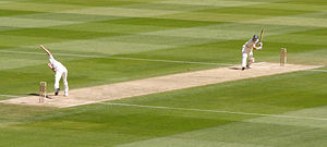 Bowler Shaun Pollock bowls to batsman Michael Hussey. The paler strip is the cricket pitch. The two sets of three wooden stumps on the pitch are the wickets. The two white lines are the creases.