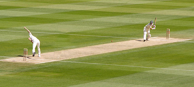 Image:Cricket picture.jpg