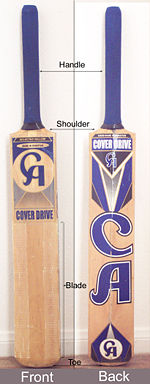 A cricket bat, front and back.