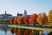 Many people visit the city in the autumn for the foliage.