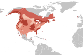 Bald Eagle range       Resident, breeding      Summer visitor, breeding      Winter visitor      On migration only Star: accidental records