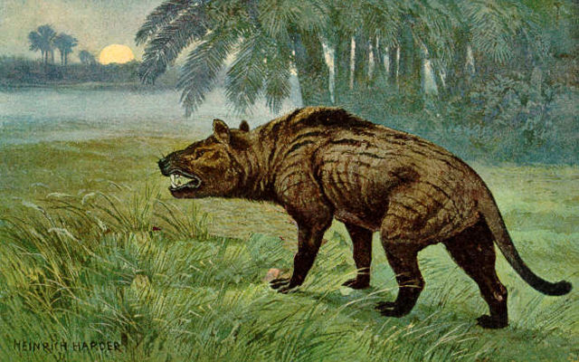 Image:Hyaenodon Heinrich Harder.jpeg