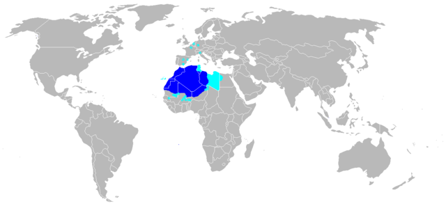 Image:Amazigh berber language.PNG