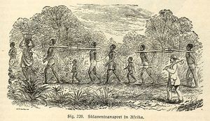 Slave transport in Africa, from a 19th century engraving