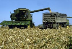 A John Deere combine harvesting corn