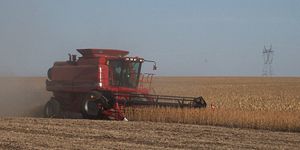 Case IH Combine set to harvest Soybeans.