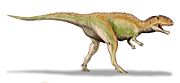 Giganotosaurus carolinii.