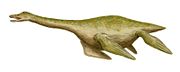 Cryptocleidus