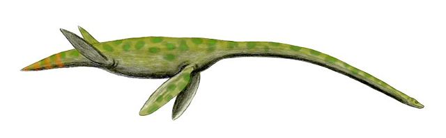 Image:Styxosaurus BW.jpg