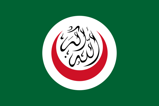 Image:Flag of OIC.svg