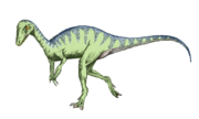 Eoraptor, an early dinosaur genus.