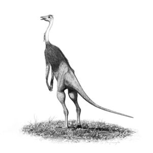 Struthiomimus, an ostrich-like theropod dinosaur.