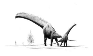 Brachiosaurus is an example of a sauropod dinosaur.