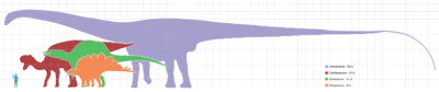 Scale diagram comparing the largest known dinosaurs in four suborders and a human.