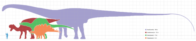 Image:Largestdinosaursbysuborder scale.png