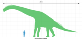 Comparative size of Brachiosaurus.