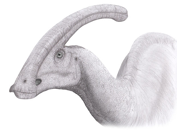 Image:Parasaurolophuspic steveoc.jpg