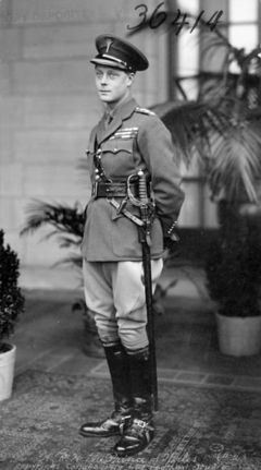 Edward as Prince of Wales, 1919