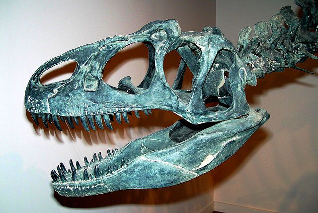 Image:Allosaurus-crane.jpg