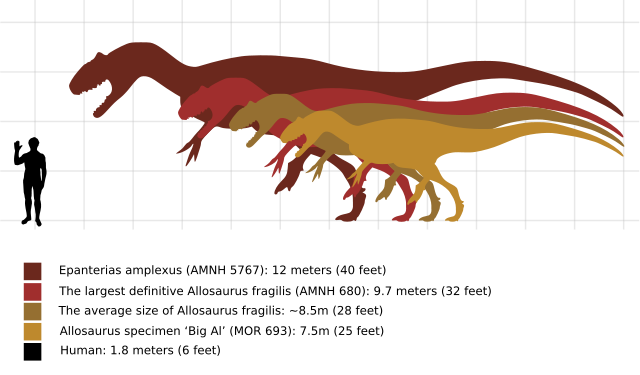 Image:Allosaurus size comparison.svg