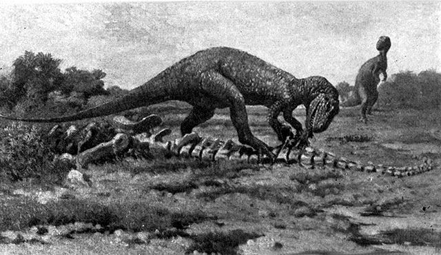 Image:Allosaurus4.jpg