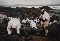 Volunteers cleaning up the aftermath of the Prestige oil spill