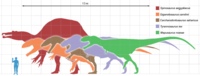 Size comparison of selected giant theropod dinosaurs, Tyrannosaurus in purple.