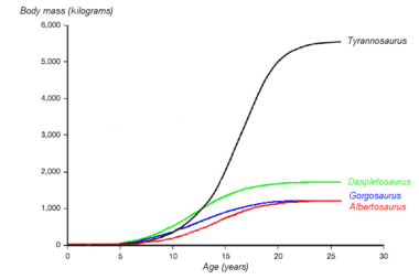 A graph showing the hypothesized growth curves (body mass versus age) of four tyrannosaurids. Tyrannosaurus rex is drawn in black. Based on Erickson et al. 2004.