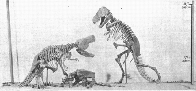 Image:AMNH rex mount.png