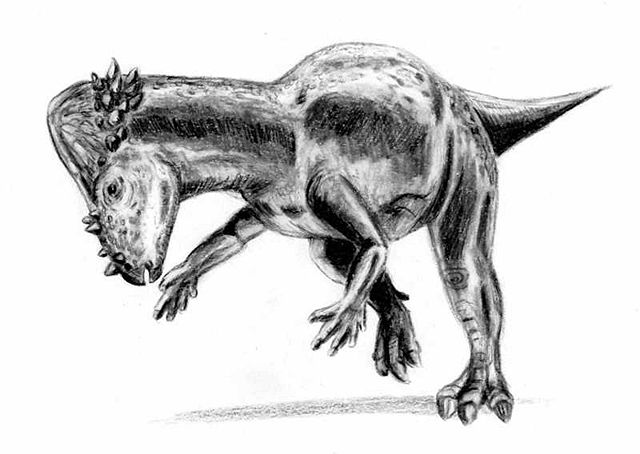 Image:Pachycephalosaurus.jpg