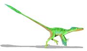 Illustration of Velociraptor mongoliensis.
