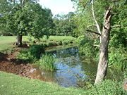 The river Chew between Stanton Drew and Pensford