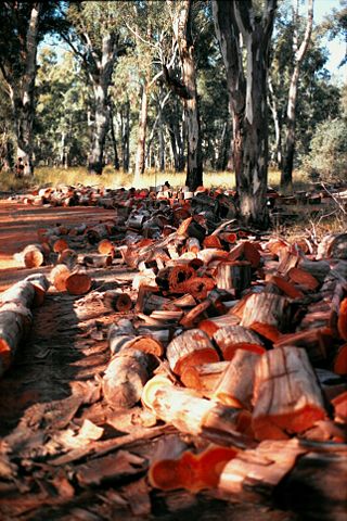 Image:Redgumfirewood.jpg