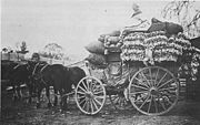 A load of rabbit skins, Northern Tablelands, New South Wales