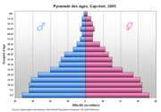 Population pyramid, 2005