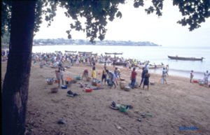 Fisherman landing their catch in São Tomé
