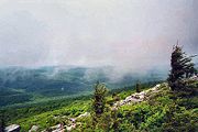 The summit of Spruce Knob is often covered in clouds.