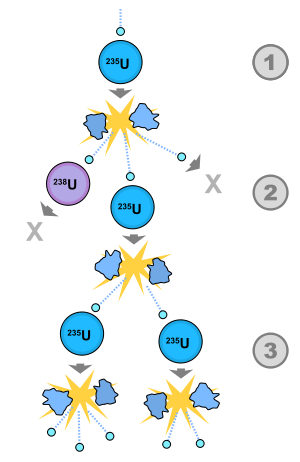 A schematic nuclear fission chain reaction. 1. A uranium-235 atom absorbs a neutron and fissions into two new atoms (fission fragments), releasing three new neutrons and some binding energy. 2. One of those neutrons is absorbed by an atom of uranium-238 and does not continue the reaction. Another neutron is simply lost and does not collide with anything, also not continuing the reaction. However one neutron does collide with an atom of uranium-235, which then fissions and releases two neutrons and some binding energy. 3. Both of those neutrons collide with uranium-235 atoms, each of which fissions and releases between one and three neutrons, which can then continue the reaction.