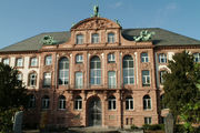 Senckenberg Museum