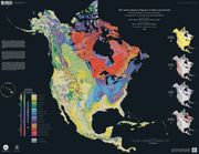 North America Tapestry of Time and Terrain. (USGS,GSC,COREMI)