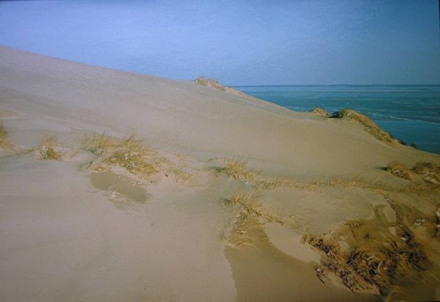 Image:Curonian spit.jpg